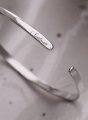 C13A4D56-F27D-4DA7-BF94-6788FD2F1D37.PNG